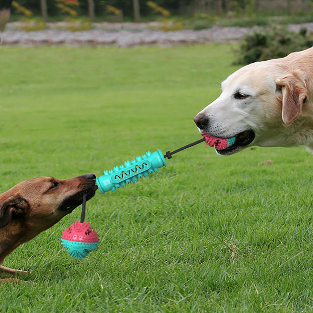 TugBite Pro™ -  Friskare tänder, gladare hundar