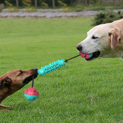 TugBite Pro™ -  Friskare tänder, gladare hundar