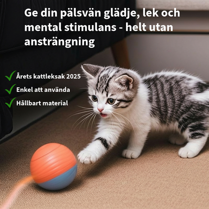 SmartSpin™ - Katternas favorit