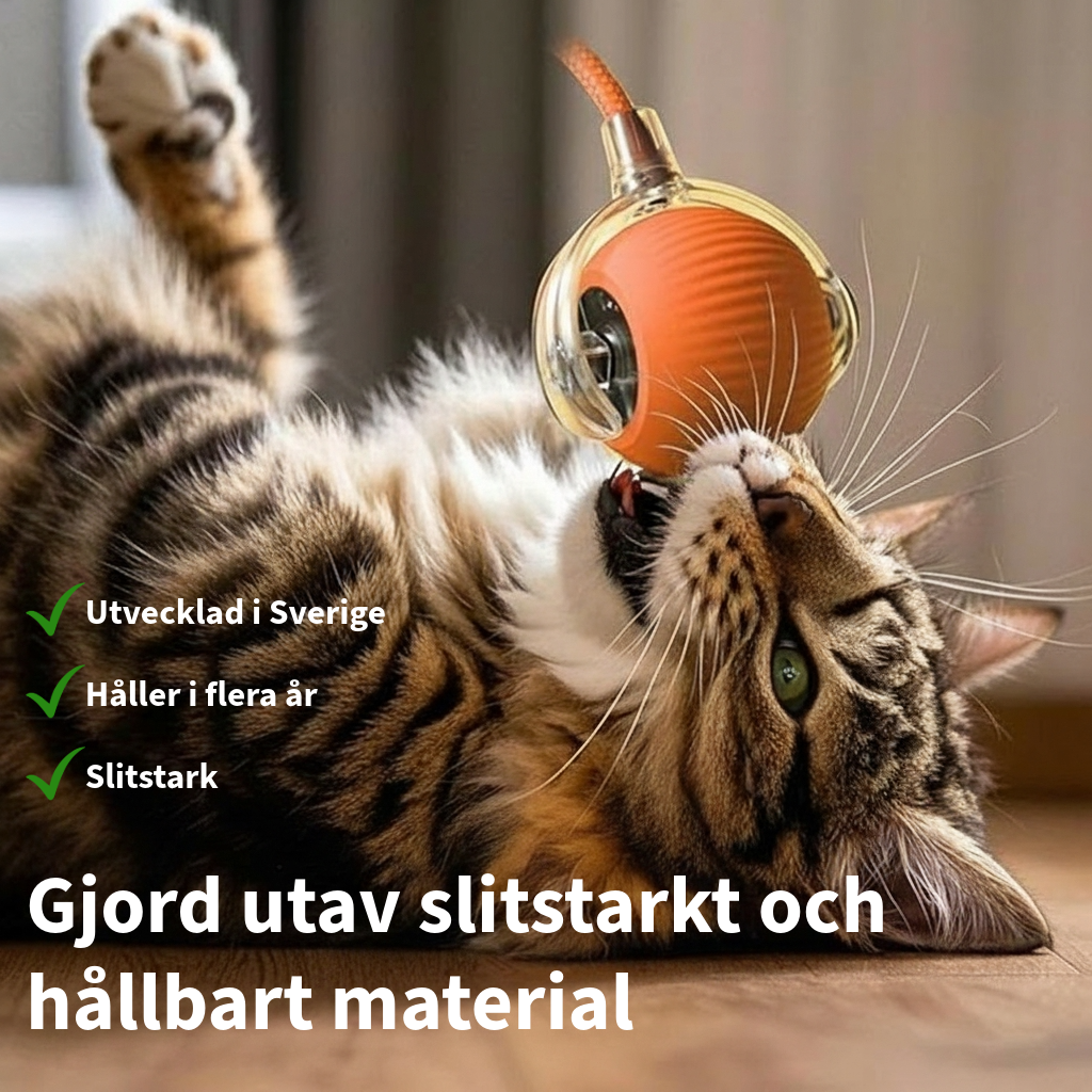SmartSpin™ - Katternas favorit
