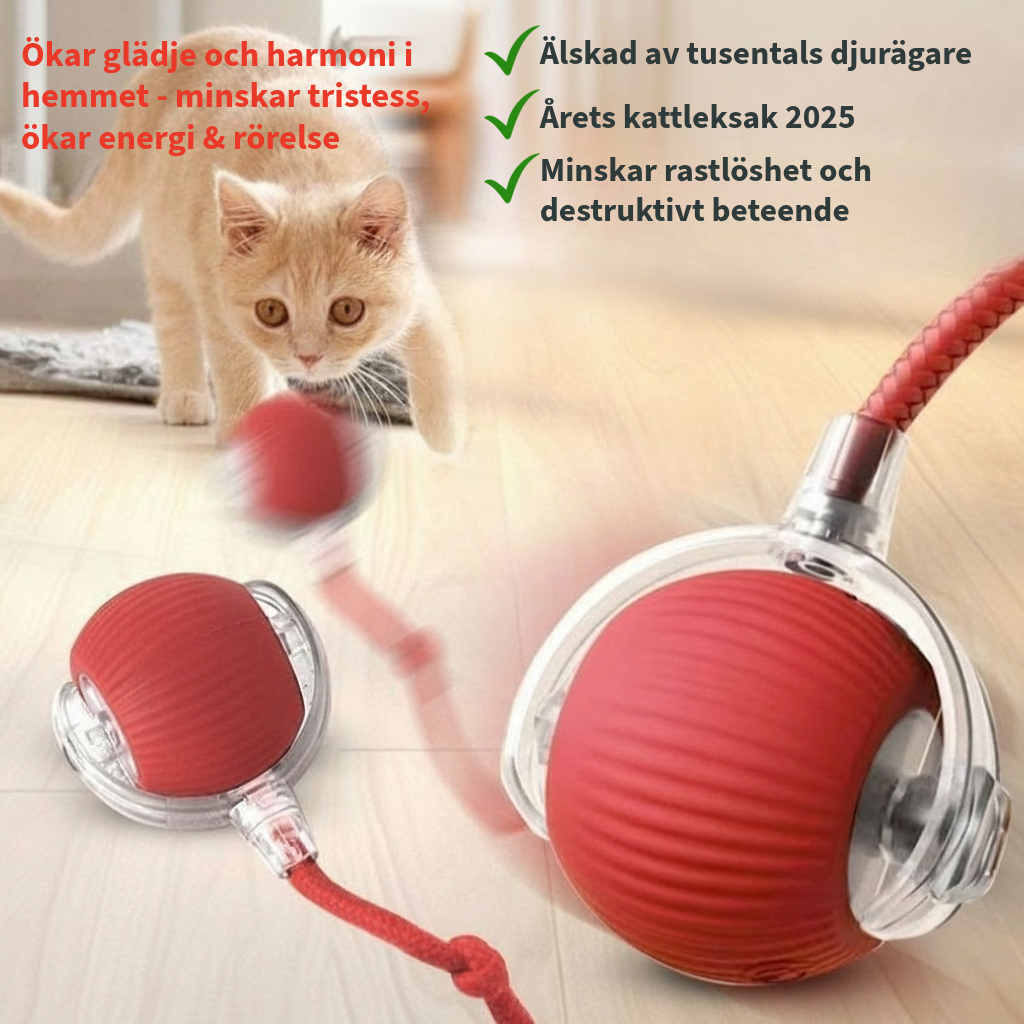 SmartSpin™ - Katternas favorit