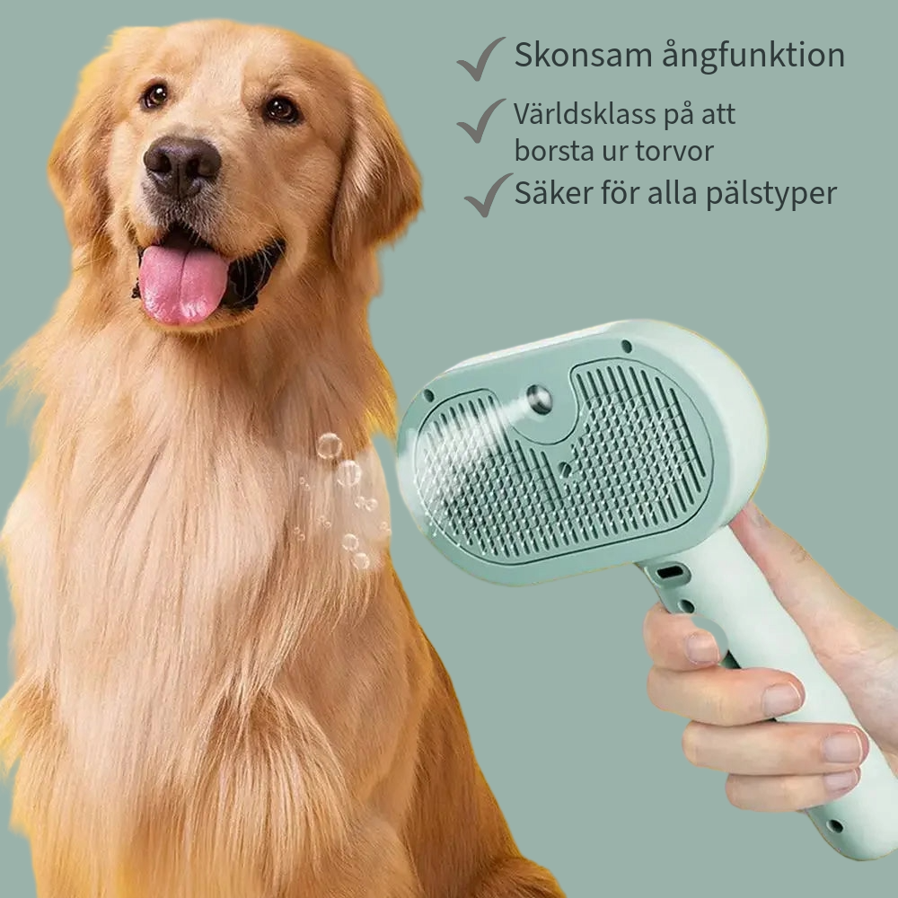 SteamClean™ - Borstning har aldrig varit enklare