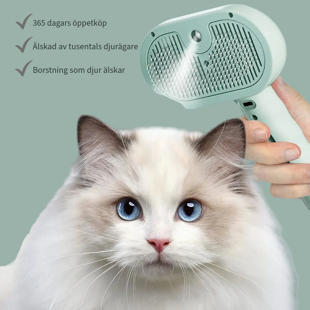 SteamClean™ - Borstning har aldrig varit enklare