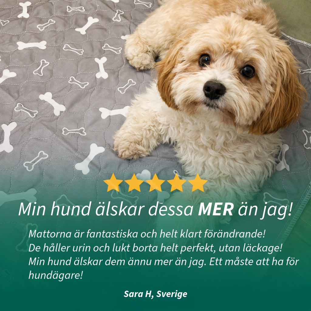 PawPad - Den enda kissmattan du behöver